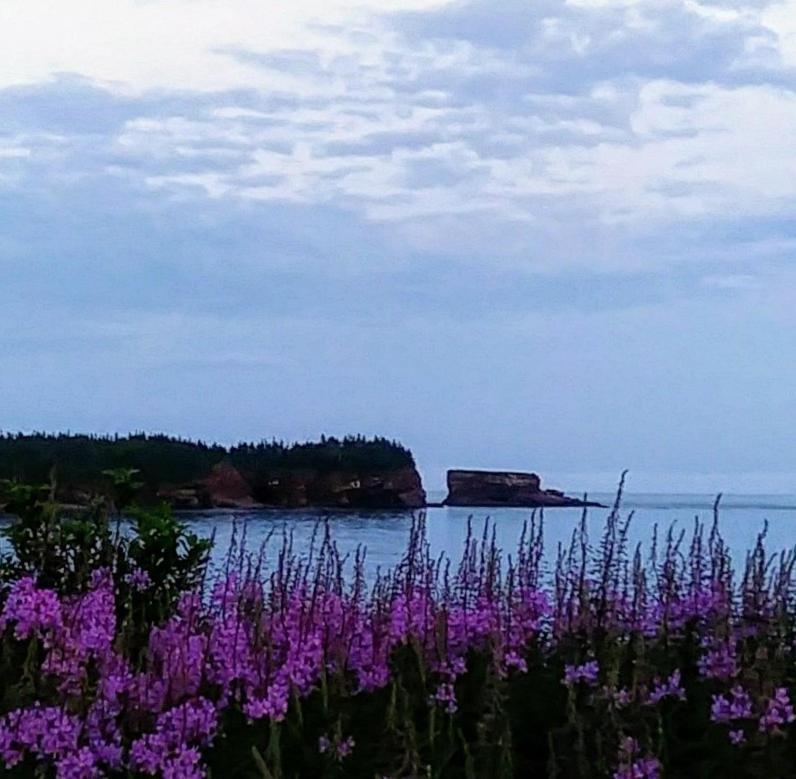 Moore'S Specialties Fundy Bay House Rental Gardner Creek ภายนอก รูปภาพ