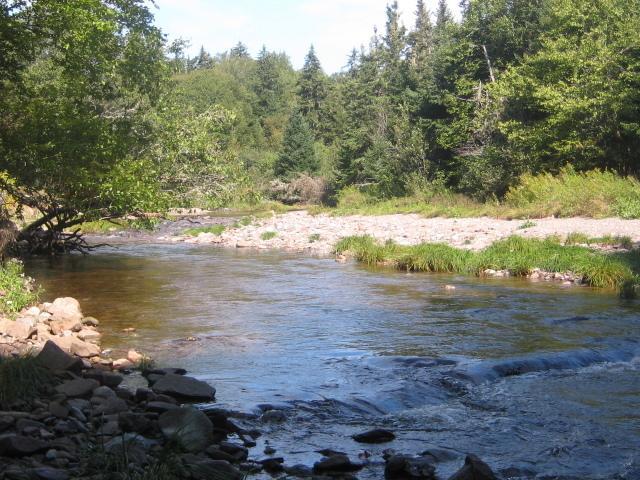 Moore'S Specialties Fundy Bay House Rental Gardner Creek ภายนอก รูปภาพ