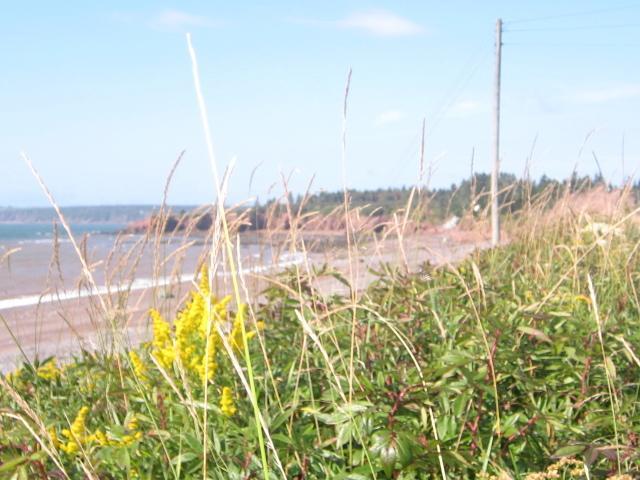 Moore'S Specialties Fundy Bay House Rental Gardner Creek ภายนอก รูปภาพ