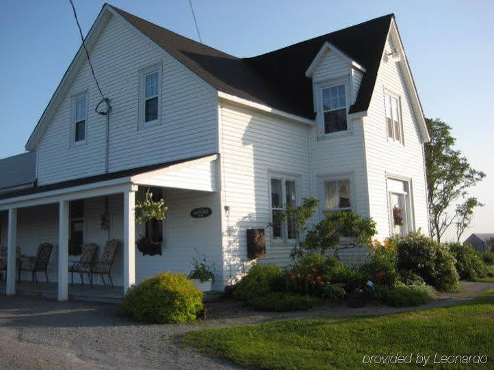 Moore'S Specialties Fundy Bay House Rental Gardner Creek ภายนอก รูปภาพ