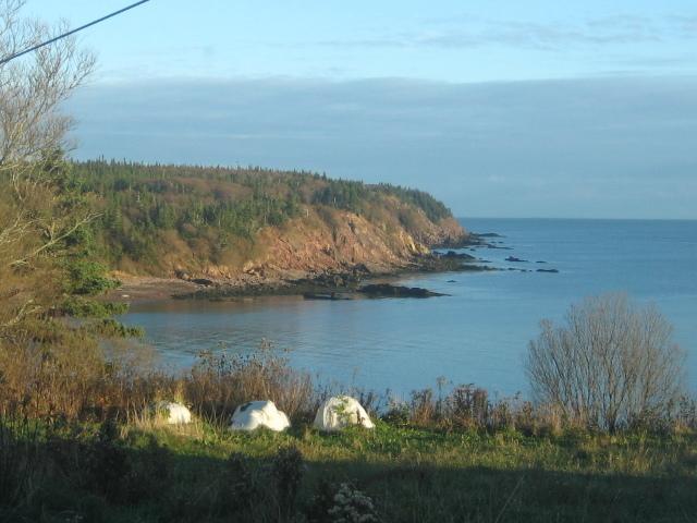 Moore'S Specialties Fundy Bay House Rental Gardner Creek ภายนอก รูปภาพ